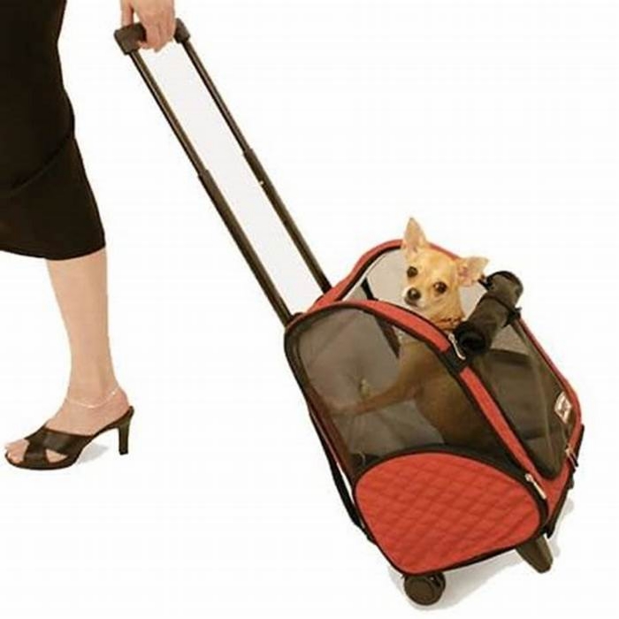 Airline Approved Adventures: Top Pet Carriers for Airplane Travel