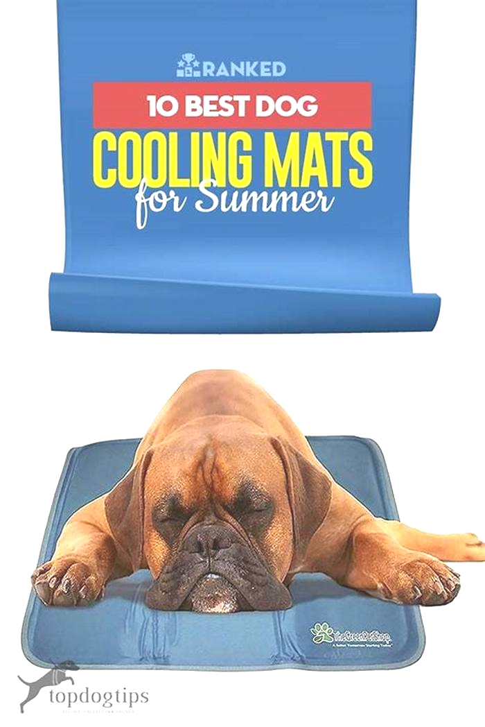 Beat the Summer Heat: Top Cooling Mats for Small Animals Compared