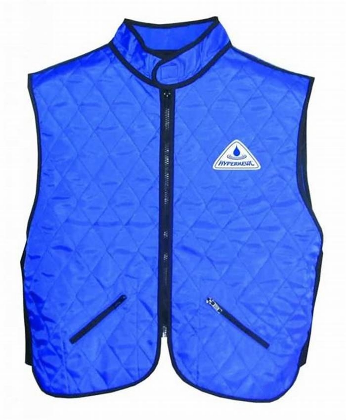 Beat the Summer Heat: Top Cooling Vests for Horses Compared