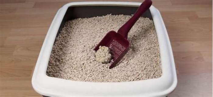 Best Cat Litter: A Comprehensive Review of Clumping and Non-Clumping Varieties