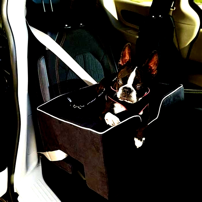 Best Dog Car Seats: A Review of Safe and Comfortable Travel Seats