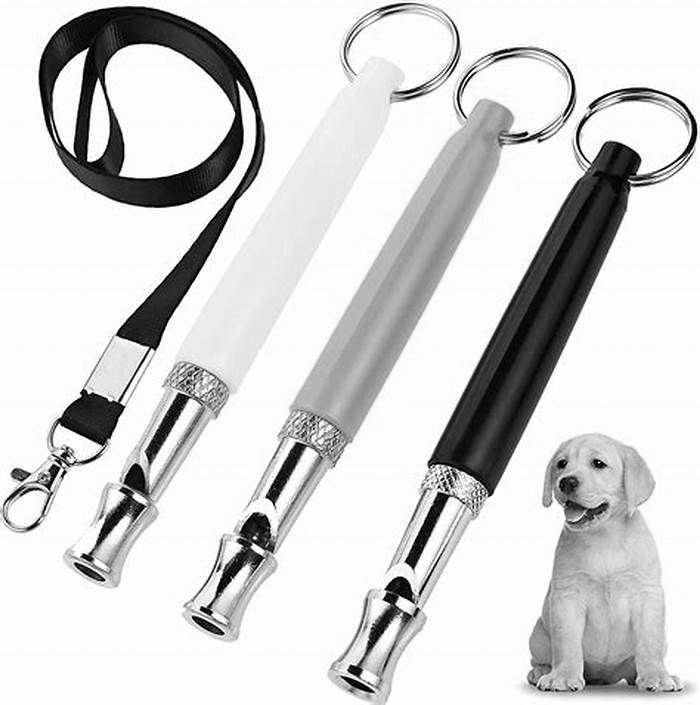 Best Dog Training Whistles: A Review of Effective Communication Tools