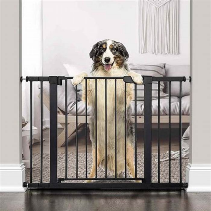 Best Pet Gates: A Review of Safe and Versatile Containment Solutions