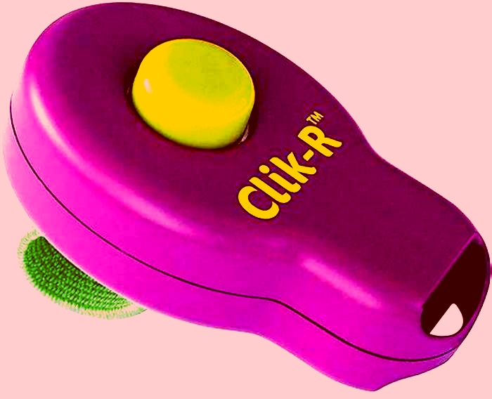 Best Pet Training Clickers: A Review of Positive Reinforcement Tools