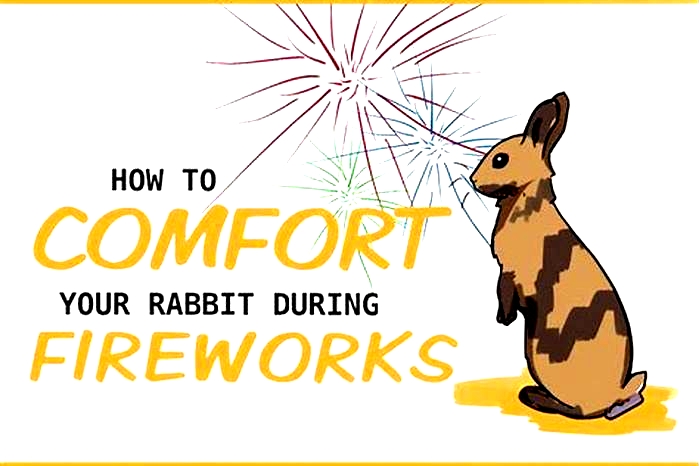 Calming Techniques for Pet Rabbits During Fireworks Season