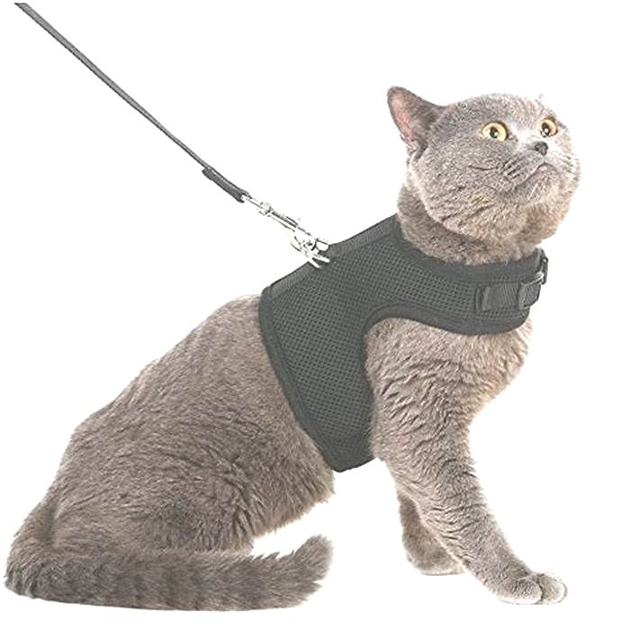 Cat Harness Comparison: Finding the Most Escape-Proof and Adjustable Harnesses