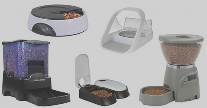 Comparing Automatic Pet Feeders: Which One Is Right for Your Pet?