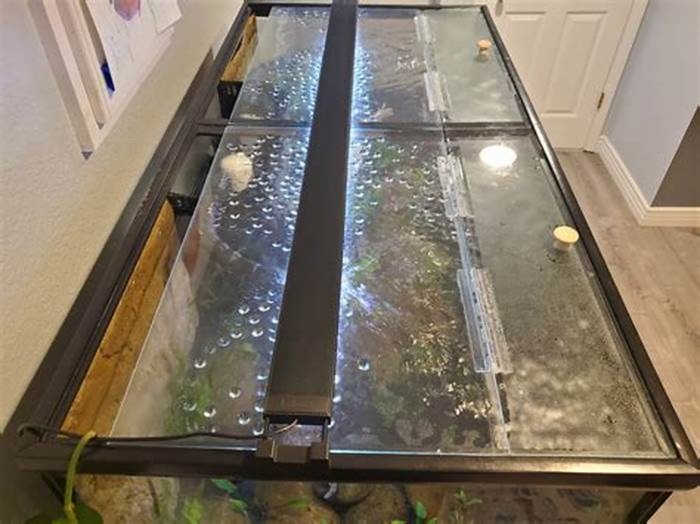 DIY Aquarium Lid: Preventing Fish Escapes and Maintaining Water Quality