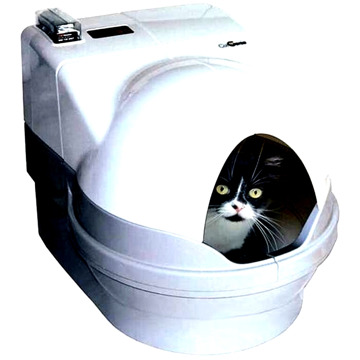 DIY Automatic Cat Litter Box: Convenience and Hygiene for Multi-Cat Homes