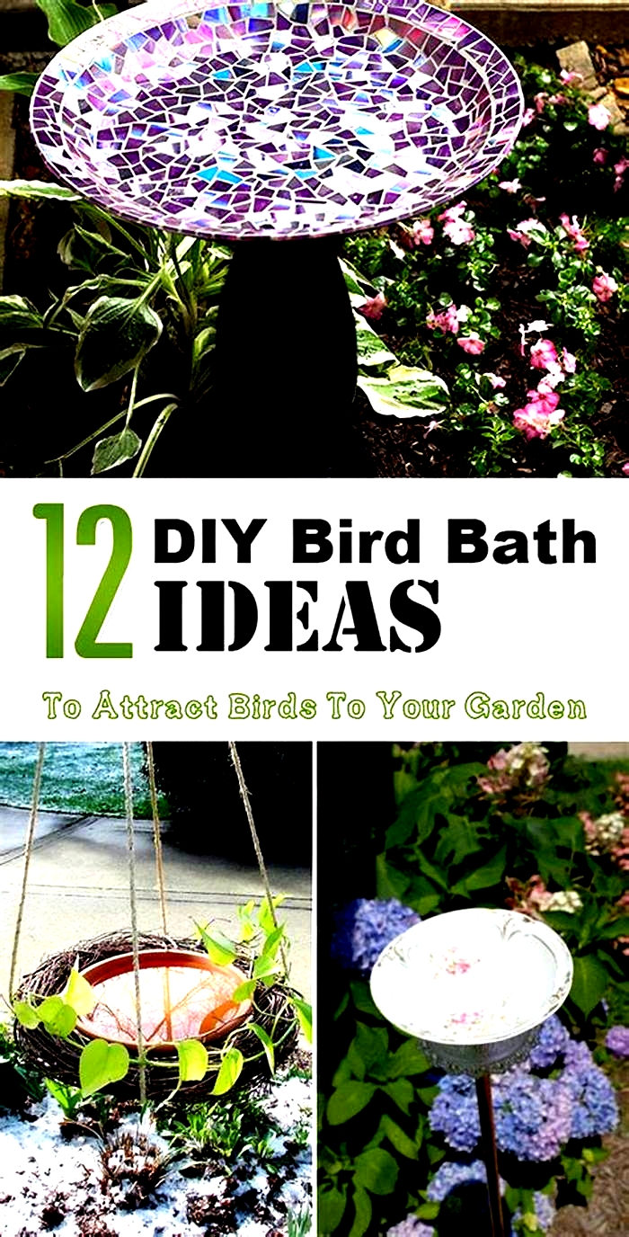 DIY Bird Bath: Creating a Refreshing Oasis for Your Feathered Guests