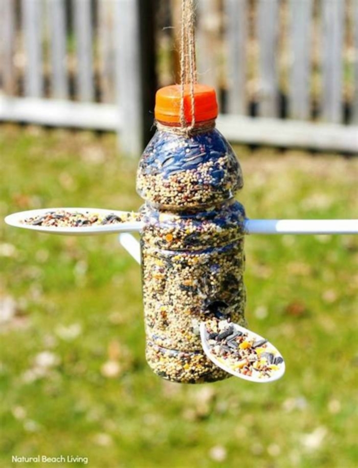 DIY Bird Feeder for Wild Birds: Attracting a Variety of Feathered Friends to Your Backyard