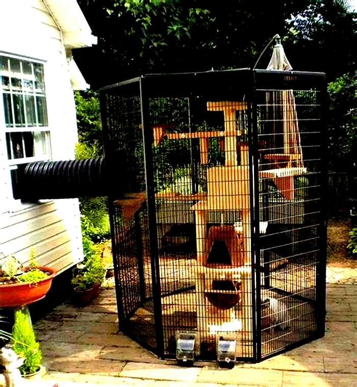 DIY Catio Project: Building a Safe and Enclosed Outdoor Haven for Your Cat