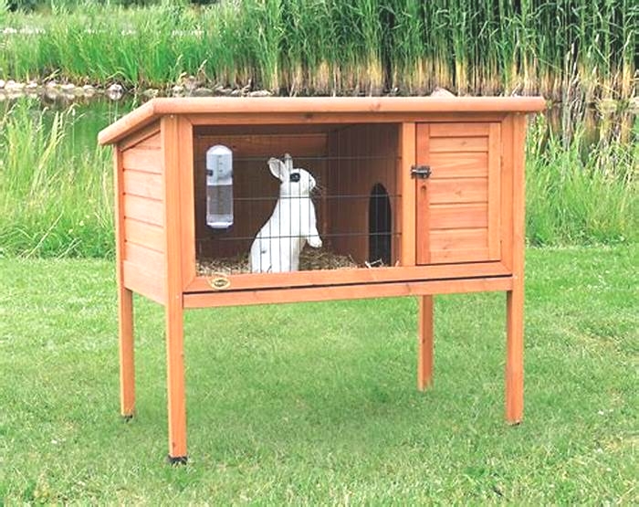 DIY Outdoor Rabbit Hutch: Building a Spacious and Secure Home for Your Bunnies