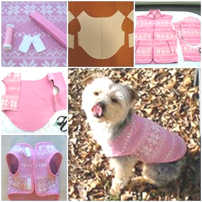 DIY Pet Clothes: Fashionable and Functional Outfits