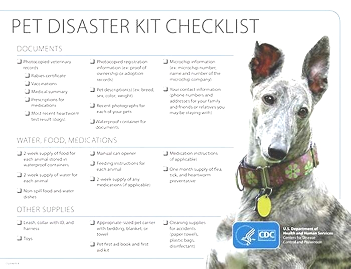 DIY Pet Disaster Preparedness Kit: Essentials for Emergencies