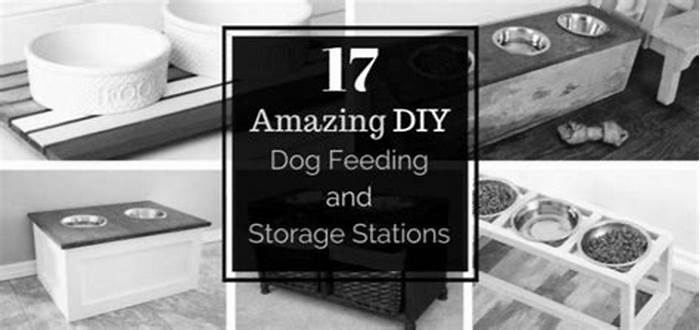 DIY Pet Feeding Stations: Organized and Stylish Solutions