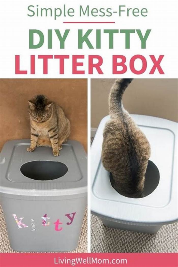 DIY Pet Litter Box Solutions: Odor Control and Maintenance