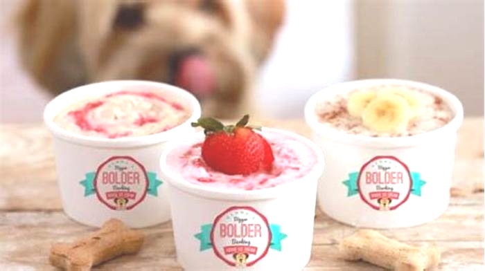 DIY Pet-Safe Ice Cream: Homemade Treats for Your Pet