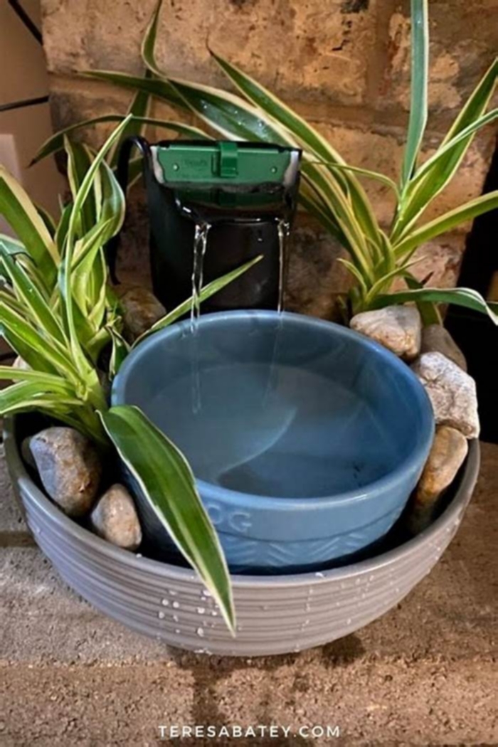 DIY Pet Water Fountain: Hydration Solutions for Your Pet