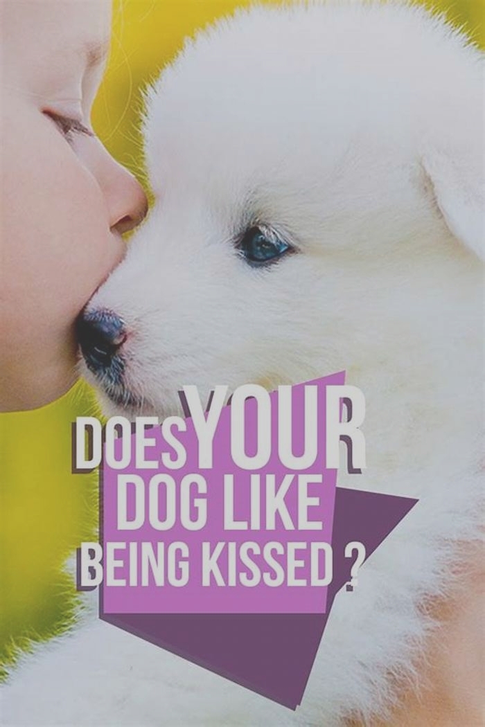 Do dogs like to be kissed?