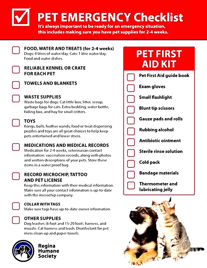 Emergency Preparedness for Pets: A Step-by-Step Plan