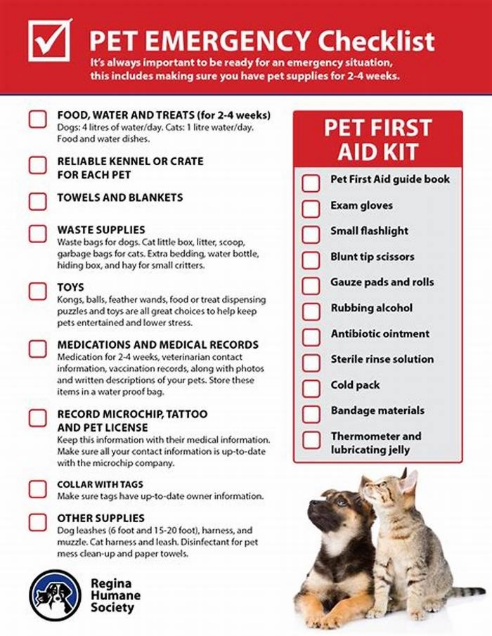 Essential Skills for Pet Emergency Response: Being Prepared