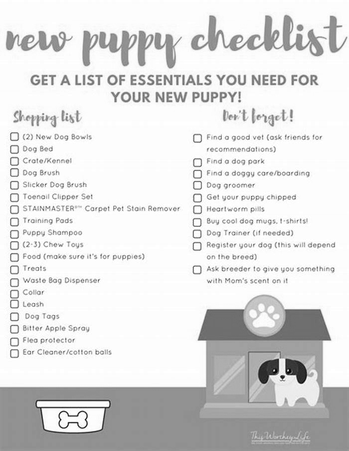 Essential Supplies for New Pet Owners: A Comprehensive Checklist