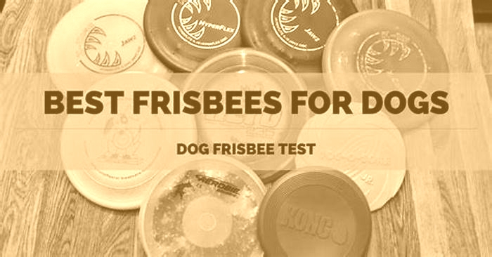 Frisbee Fun: Top Frisbees for Energetic Dogs Compared