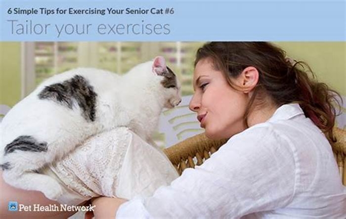 Helping Your Senior Cat Stay Active and Engaged: Fun Exercises for Old Souls