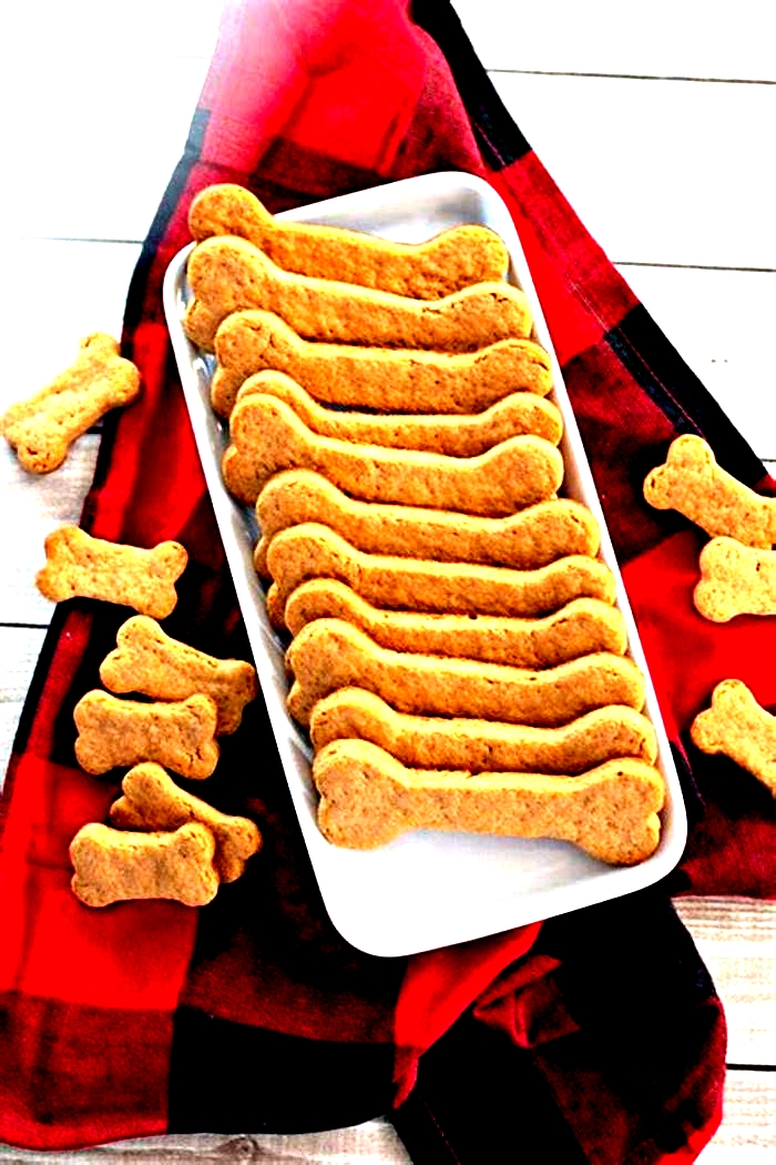 Homemade Pet Treat Recipes: Healthy and Delicious Options