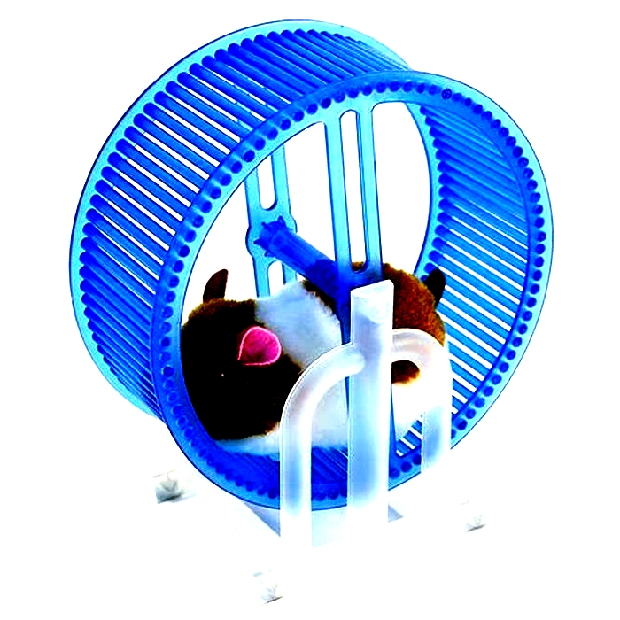 Hoppy Fun: Top Exercise Wheels for Hamsters Reviewed