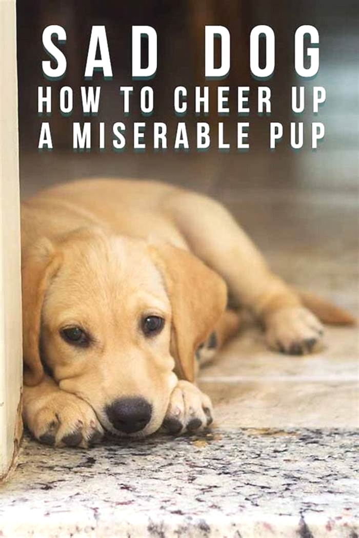 How do dogs show sadness?