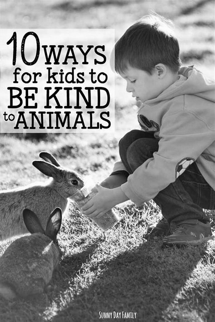 How do you show kindness to animals?