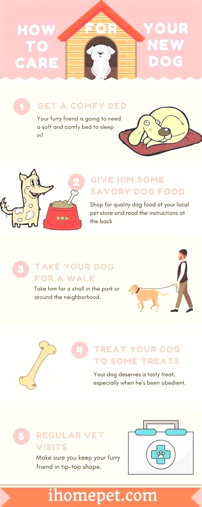 How much care does a dog need?