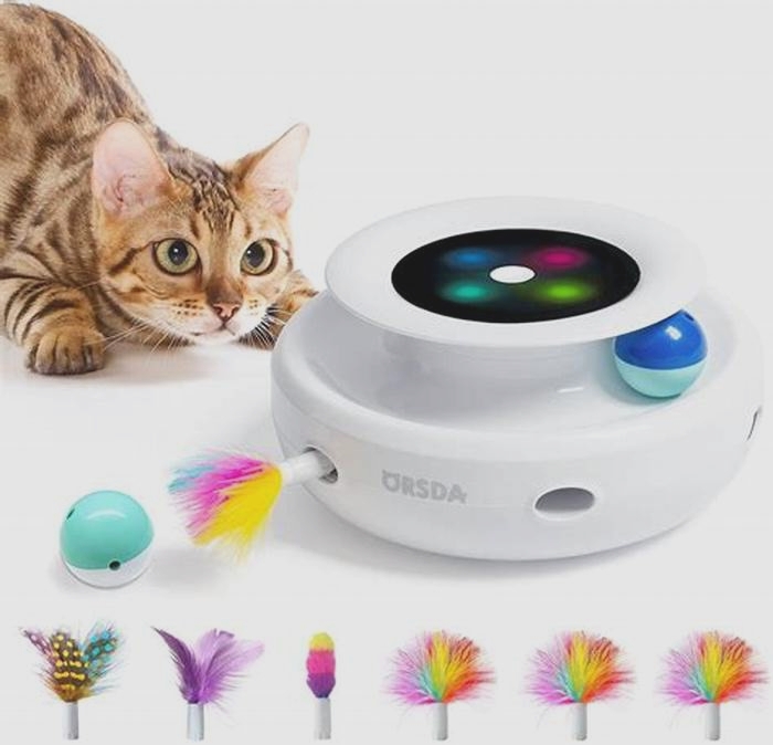 Keeping Kitty Entertained: Top Interactive Cat Toys for Indoor Felines