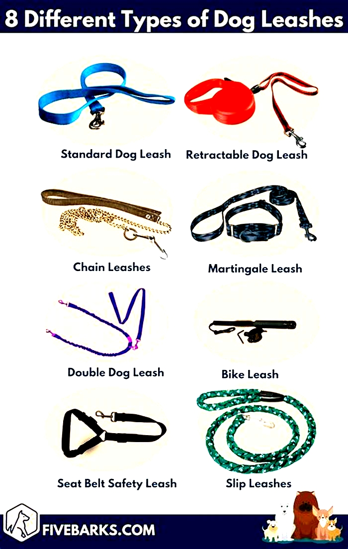 Leash Law Showdown: Top Dog Leashes Compared