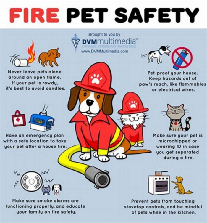 Pet-Friendly Fire Safety Tips: Protecting Your Furry Friends