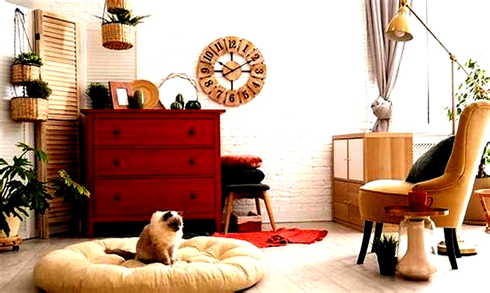 Pet-Friendly Home Renovation Ideas: A Step-by-Step Guide