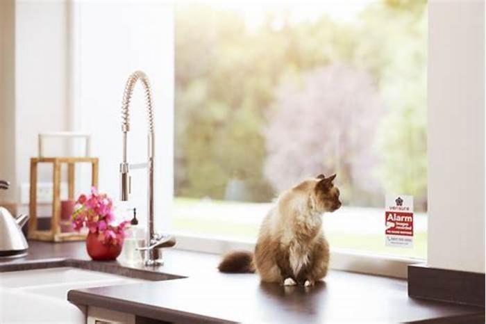 Pet-Friendly Home Security Systems: Keeping Your Pet Safe