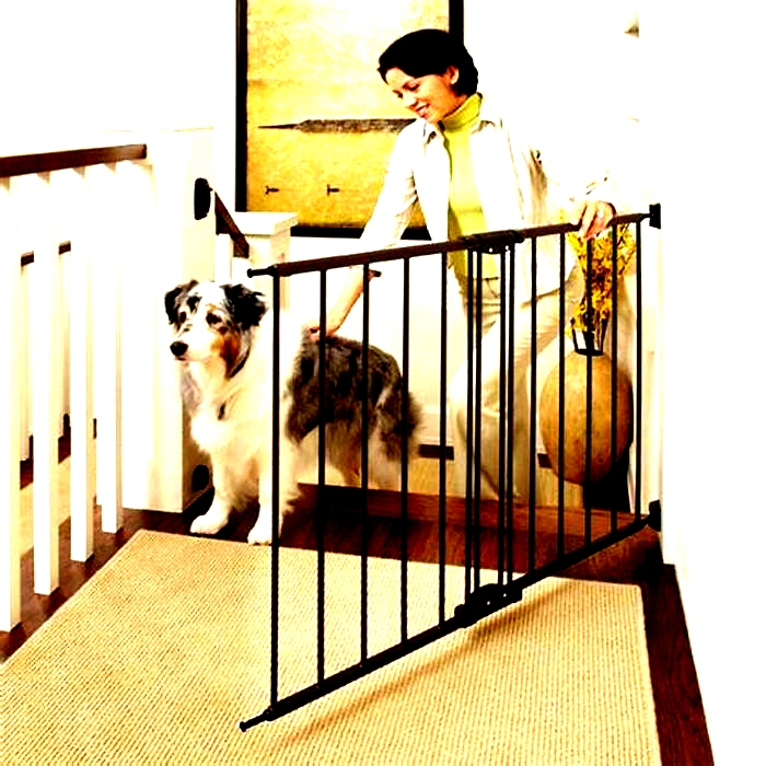 Pet Gate Comparison: Finding the Most Secure and Easy-to-Install Gates