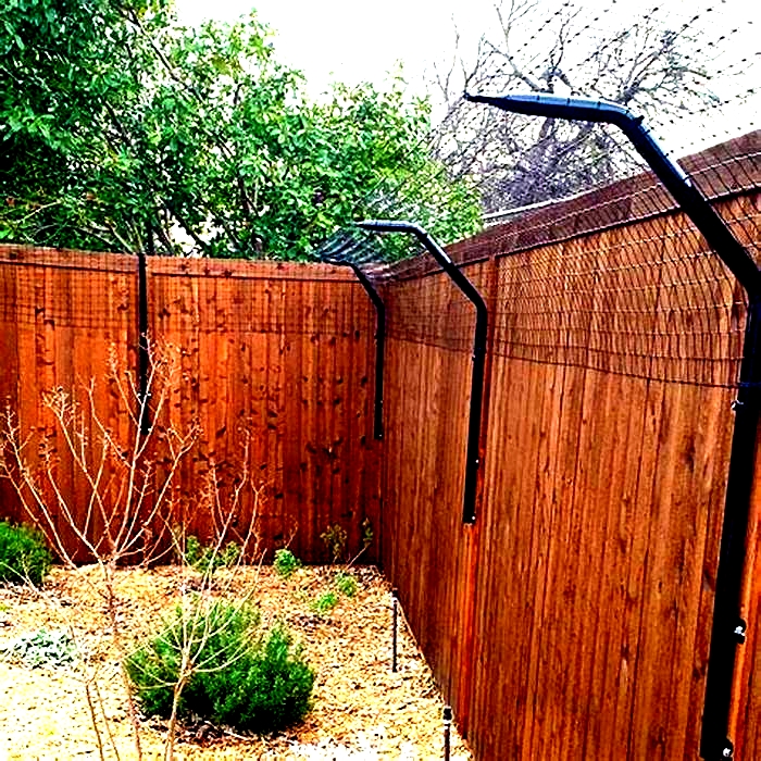 Pet-Proofing Your Yard: Fencing and Landscaping Strategies