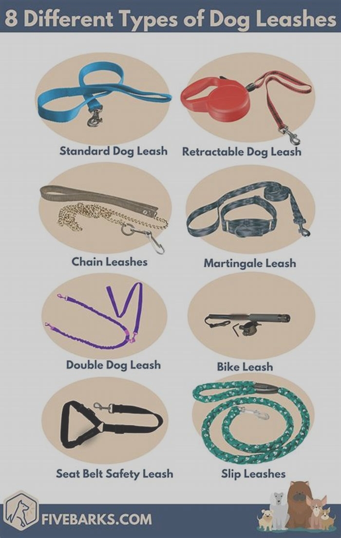 Reviewing Dog Leashes: Finding the Most Durable and Secure Options