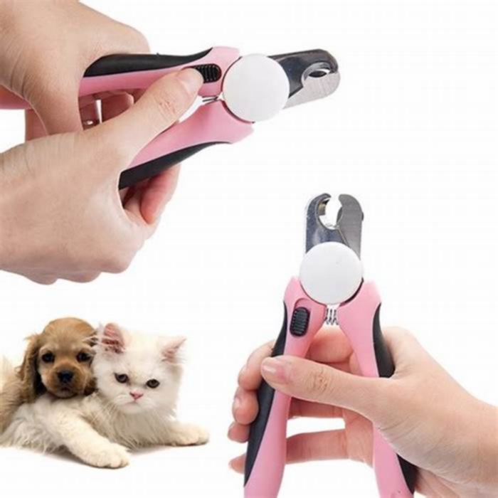 Reviewing Pet Nail Clippers: Choosing the Right Tool for Safe Grooming