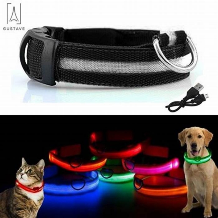 Safety First: Top LED Collars with Flashing Lights Compared