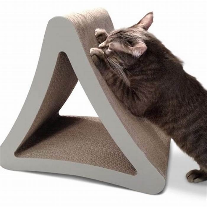 Scratching the Surface: A Review of Top Cat Scratching Posts