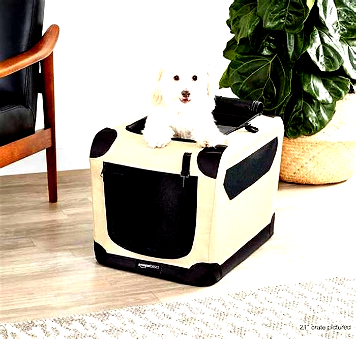 Silent Slumber: Top Noise-Canceling Dog Crates Reviewed