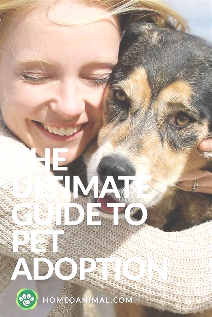 The Ultimate Guide to Pet Adoption: Finding Your Perfect Companion