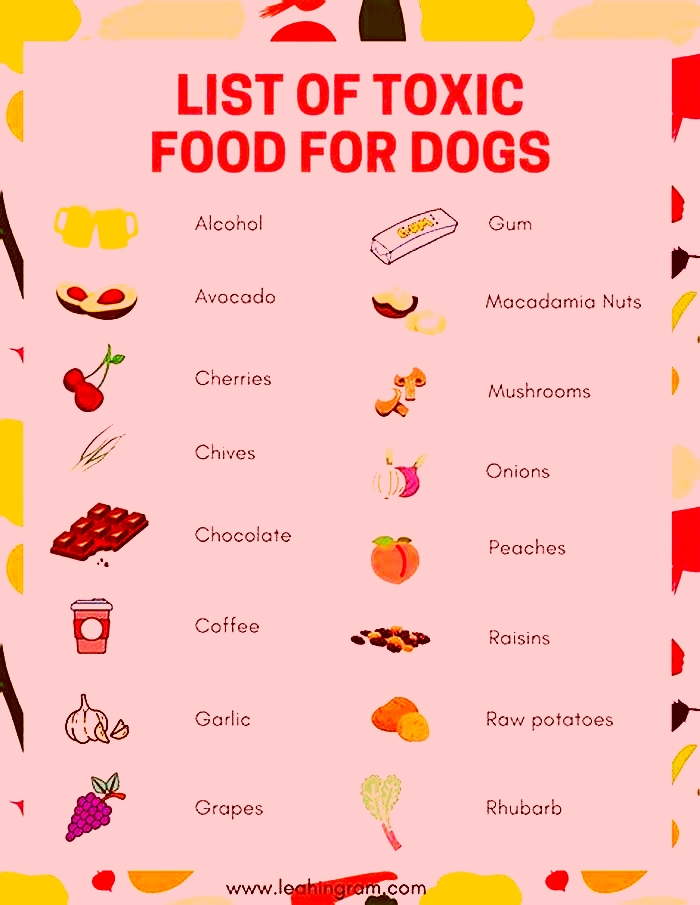 What fruit is poisonous to dogs?