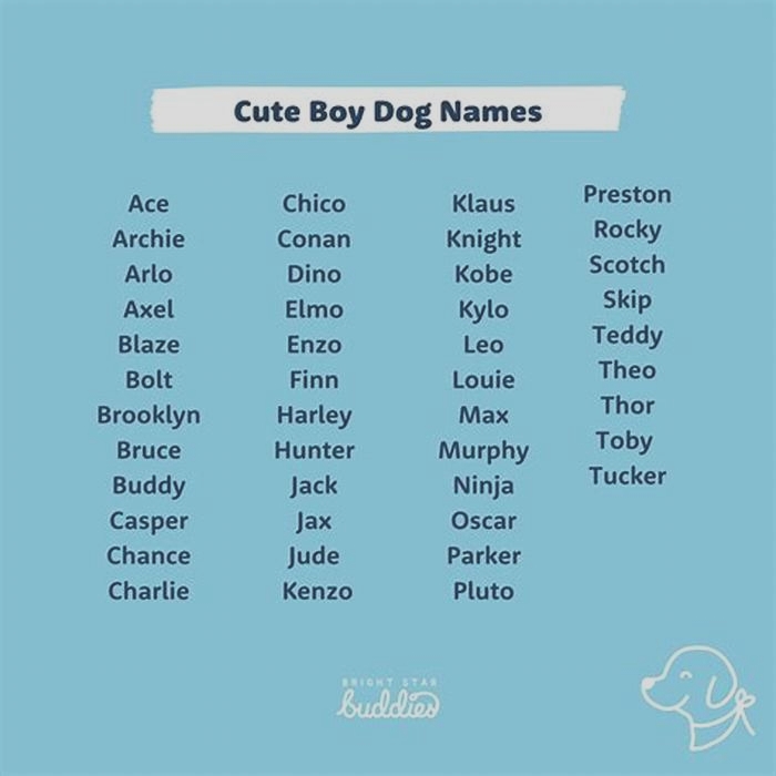 what-is-the-cutest-dog-name-soothe-your-pup-expert-solutions-for-dog